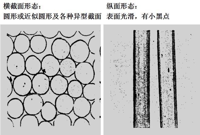 聚酰胺纤维俗称尼龙