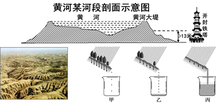 其它挂饰与木材燃烧机理有关吗